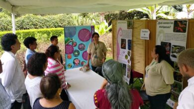 Celebrarán el Día Internacional de los Jardines Botánicos con actividades ecológicas