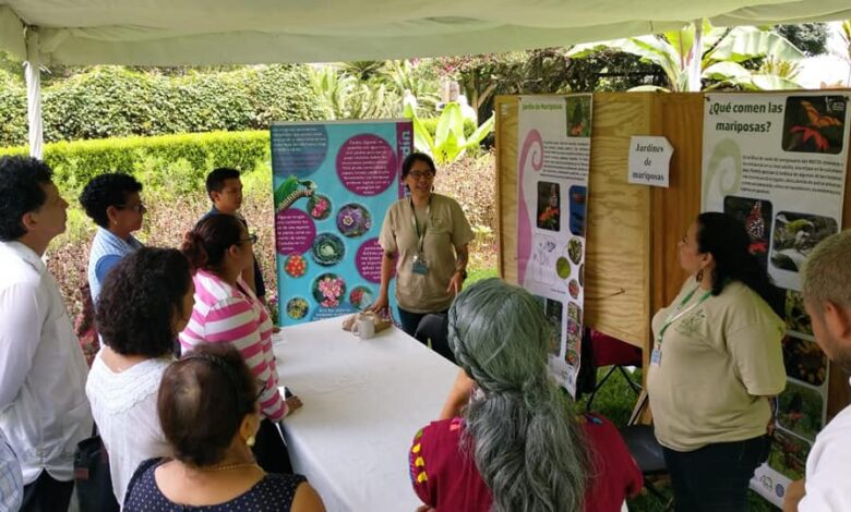 Celebrarán el Día Internacional de los Jardines Botánicos con actividades ecológicas