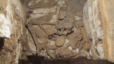 Durante trabajos del Tren Maya, el INAH halló lo que pudo haber sido un cementerio Maya