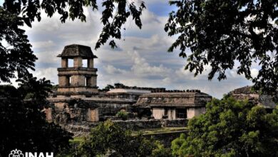 Continúan los proyectos de conservación arqueológica en las rutas del Tren Maya