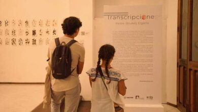 Presentan actividades artísticas gratuitas con enfoque inclusivo en Xalapa