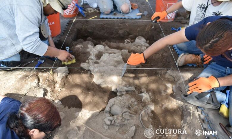 Descubren entierro múltiple en la Zona Arqueológica de Durango