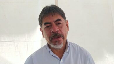 Asiste a la Feria Xalapeña del Libro en el parque Juárez