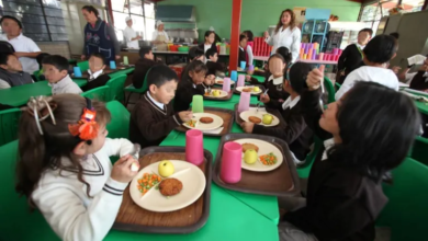 La importancia de la alimentación en niños, en la antesala del regreso a clases