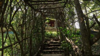 Cumple Jardín de las Esculturas 25 años 