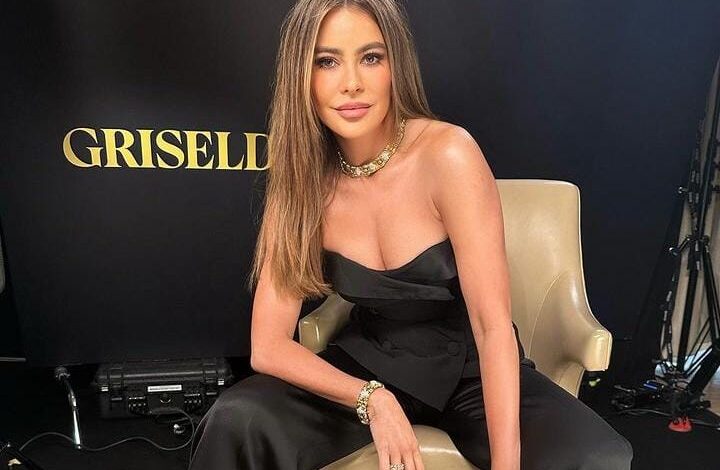 Sofía Vergara reveló porqué se divorció de Joe Manganiello