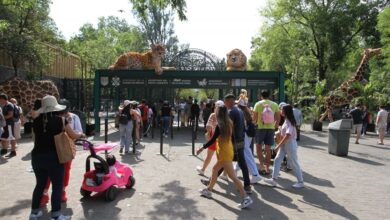 Zoológico de Chapultepec recibió una inversión de más 270 mdp para mejorar sus áreas