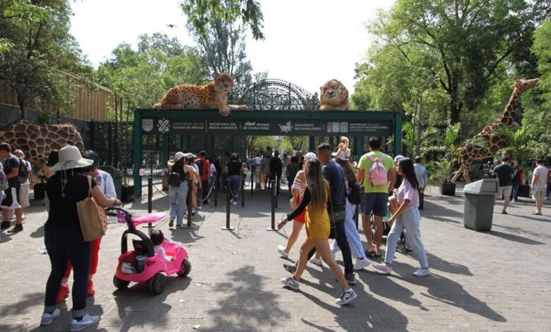 Zoológico de Chapultepec recibió una inversión de más 270 mdp para mejorar sus áreas