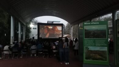 Invitan a participar en la convocatoria «Apoyo a la Exhibición de Cine y Audiovisual en Veracruz»