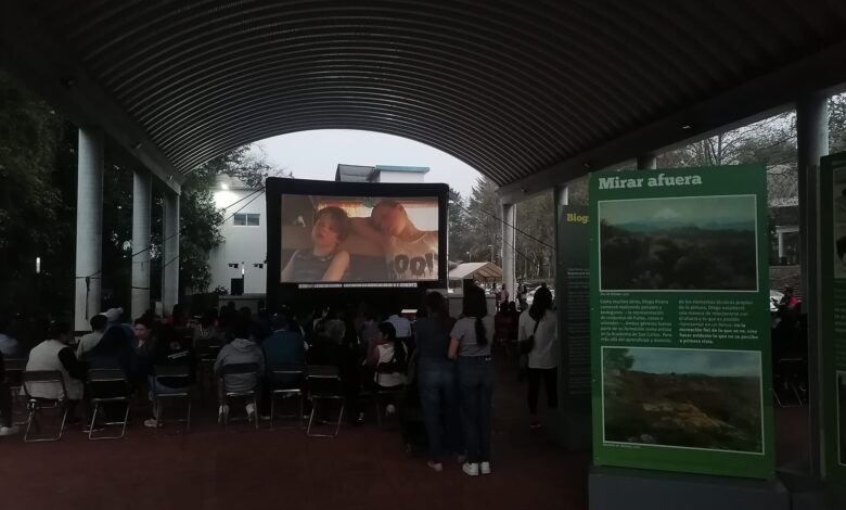 Invitan a participar en la convocatoria «Apoyo a la Exhibición de Cine y Audiovisual en Veracruz»