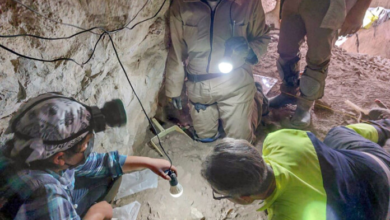 Milenarios restos humanos y materiales son hallados en la cueva ‘La Morita II’, en Nuevo León