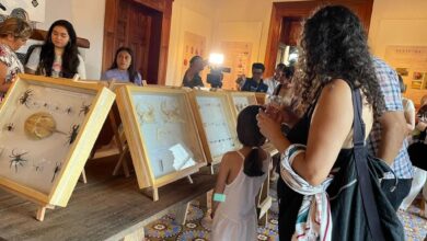 Inicia el año con un amplio programa de actividades culturales en Xalapa