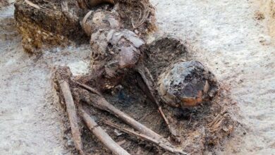 Recuperan muestra osteológica prehispánica en Tamaulipas