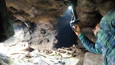 Localizan cueva con depósitos mortuorios en Tulum