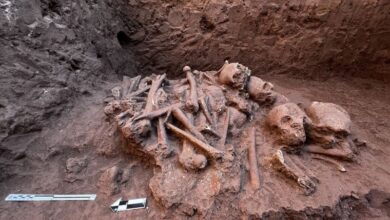 Descubren entierro prehispánico en Nayarit