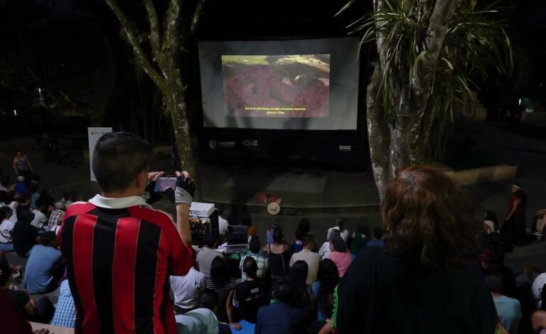 Realiza SECVER miniciclo de cine en conmemoración del Día Mundial de la Diversidad Sexual