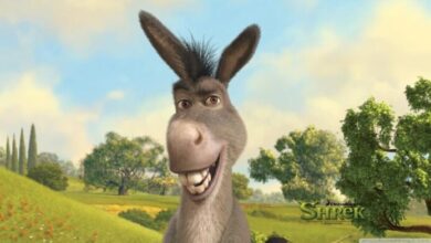 DreamWorks ya trabaja en ‘Shrek 5’ y un spin-off de Burro