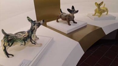 Presentan la exposición temporal «Xolos, compañeros de viaje» en Colima