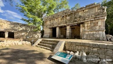 Construcción del Tren Maya ha permitido el salvamiento y protección de zonas arqueológicas