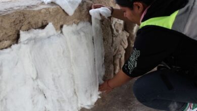 INAH concluye conservación de milenarias banquetas halladas en obras del Tren Maya