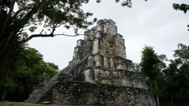 Zona Arqueológica de Muyil permanecerá cerrada hasta nuevo aviso