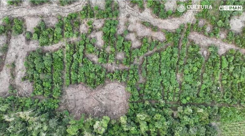 Tren Maya ha revelado más de 9 mil monumentos prehispánicos entre Quintana Roo y Campeche: INAH