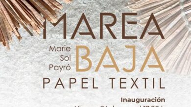 Inaugura SECVER la exposición “Marea baja” de Marie Sol Payró en el Centro Cultural de Coatepec