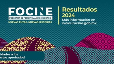 El Imcine pública nuevos resultados de Focine 2024