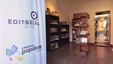 Coatepec celebrará el Día Mundial del Libro con mesa de remates editoriales