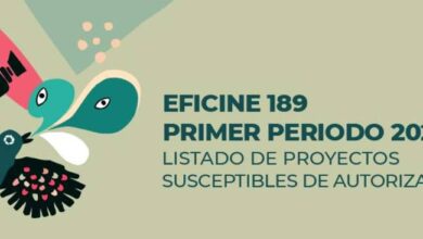 Empresas mexicanas ya pueden elegir a qué películas apoyar en su producción y distribución