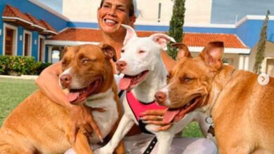 «Los perritos ahí los tengo en la nevera para comérmelos en diciembre»: Niurka