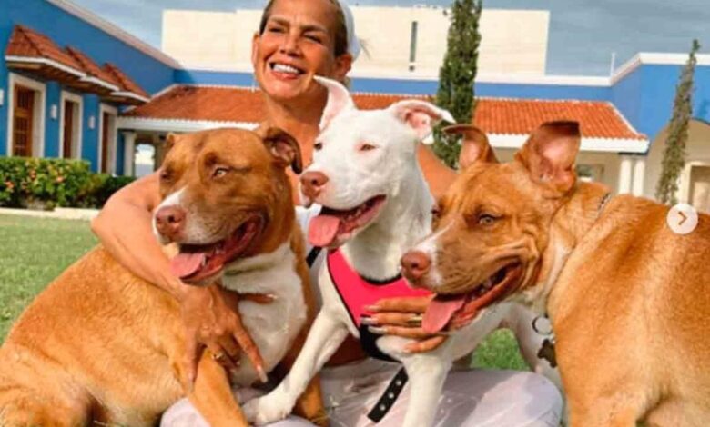 «Los perritos ahí los tengo en la nevera para comérmelos en diciembre»: Niurka